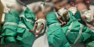 مصدر مطلع لـ"دوت مصر": جهود مصرية مكثفة لنقل أطفال حديثي الولادة من غزة لمصر