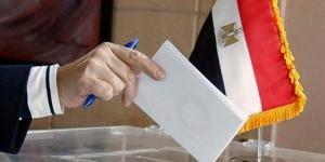 قبل
      48
      ساعة
      من
      انطلاقها،
      عقوبات
      محاولة
      تعطيل
      انتخابات
      رئاسة
      الجمهورية