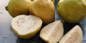 فوائد
      الجوافة،
      مهمة
      في
      الشتاء
      لتقوية
      مناعة
      الصغار
      والكبار
