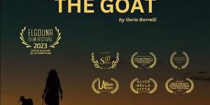 اليوم،
      عرض
      فيلم
      The
      GOAT
      في
      مهرجان
      الجونة
      السينمائي