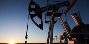 النفط
      يرتفع
      بفعل
      المخاوف
      من
      اضطراب
      التجارة
      العالمية
      والتوتر
      في
      الشرق
      الأوسط