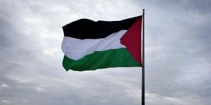 "فلسطين
      لفلسطين
      وسيناء
      للمصريين"
      بتعليم
      الوادي
      الجديد