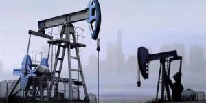 تراجع
      أسعار
      النفط
      مع
      عودة
      شركات
      الشحن
      الكبرى
      للبحر
      الأحمر