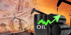 ارتفاع
      النفط
      مع
      زيادة
      أقل
      من
      المتوقع
      بمخزونات
      الخام
      الأمريكي