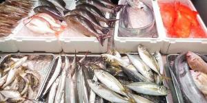 أسعار
      الأسماك
      اليوم
      الجمعة
      9-2-2024
      في
      الدقهلية