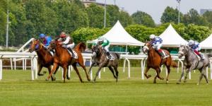 إيطاليا
      تحتضن
      كأس
      رئيس
      الدولة
      للخيول
      العربية