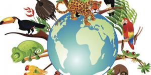 الكوارث
      البيئية
      تهدد
      التنوع
      البيولوجي