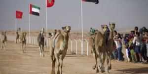 أبوظبي
      في
      «طانطان»
      إحدى
      ثمار
      التعاون
      بين
      الإمارات
      والمغرب