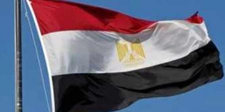 مصر تعلن دعم دعوى جنوب أفريقيا ضد إسرائيل أمام محكمة العدل الدولية