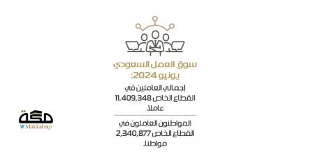 2.34 مليون سعودي يعملون في القطاع الخاص