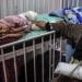 10 آلاف معاق في غزة.. نصفهم أطفال