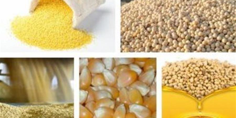 أسعار
      الأعلاف
      والحبوب
      اليوم،
      ارتفاع
      الذرة
      الأرجنتيني
      400
      جنيه
      و500
      للقمح
