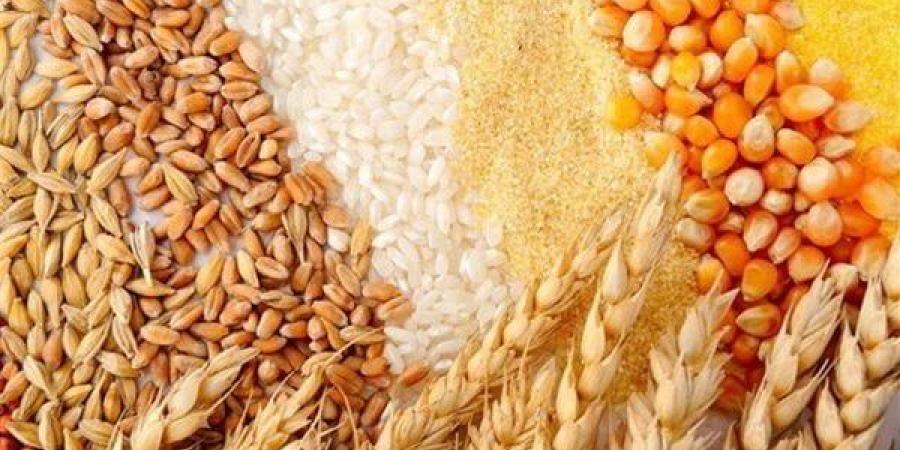 أسعار
      الأعلاف
      والحبوب
      اليوم،
      انخفاض
      القمح
      وارتفاع
      سعر
      الردة
      بالأسواق