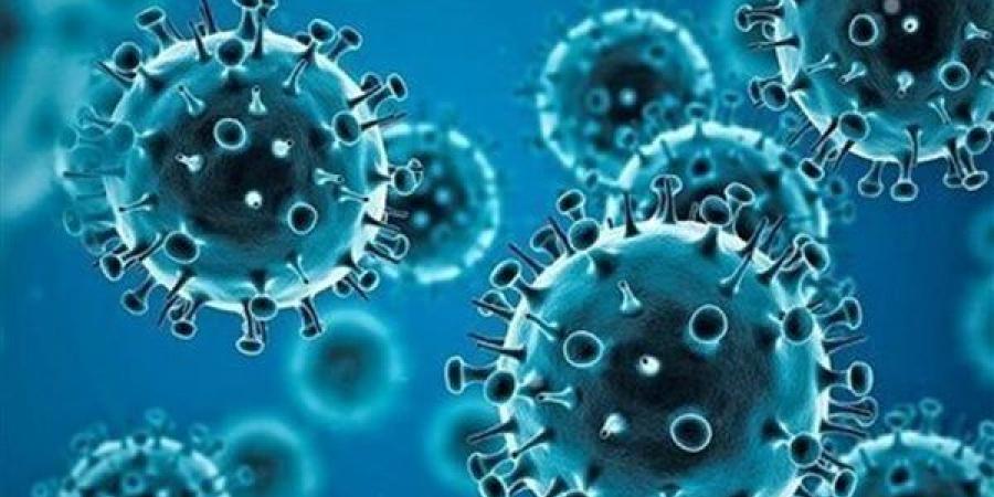 أهم
      المعلومات
      عن
      المتحور
      الجديد
      لفيروس
      كورونا
      JN.1