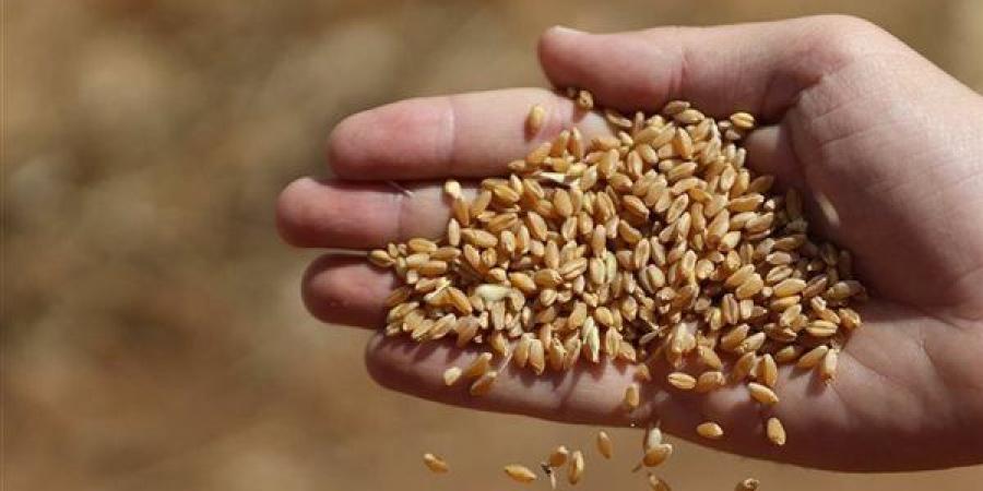طلب
      إحاطة
      بشأن
      تأثير
      القرار
      الروسي
      بوقف
      تصدير
      القمح