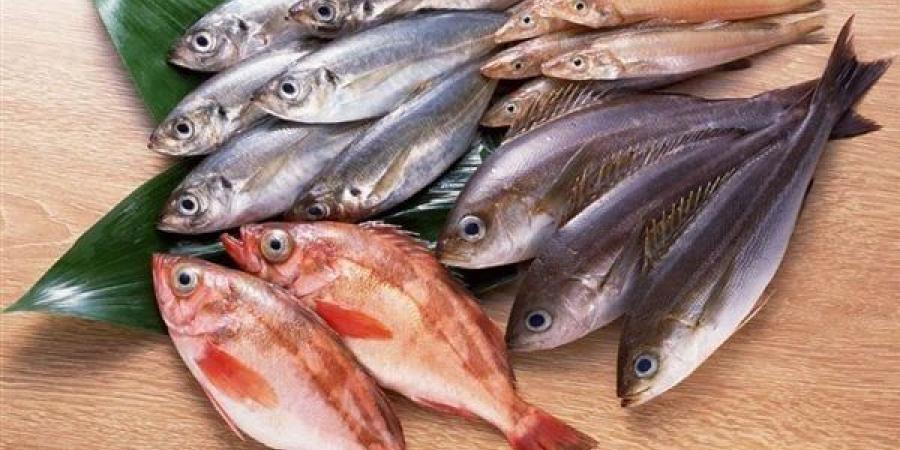 أسعار
      الأسماك
      اليوم،
      58
      جنيهًا
      أقل
      سعر
      لكيلو
      البلطي
      في
      سوق
      العبور