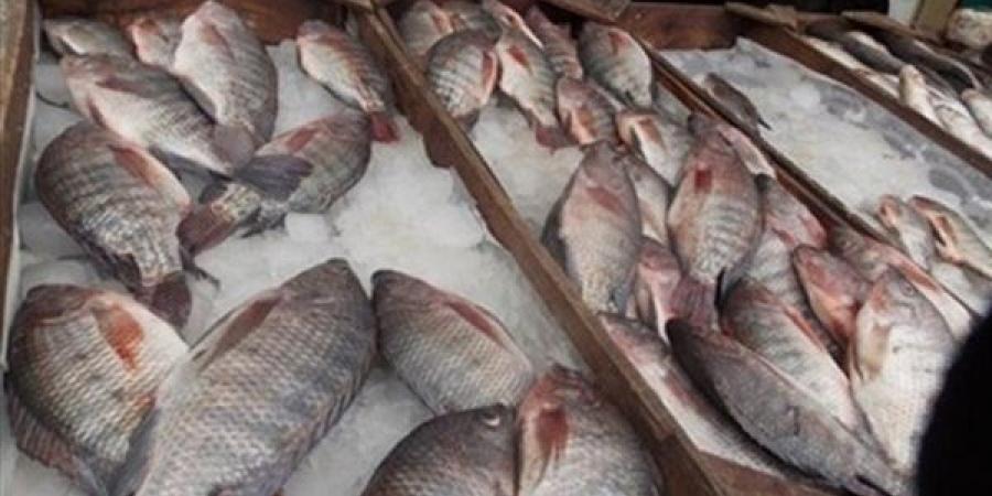 الفيليه
      بلطي
      يصل
      لـ
      209
      جنيهات،
      أسعار
      الأسماك
      السبت
      23-12-2023
      في
      المنيا