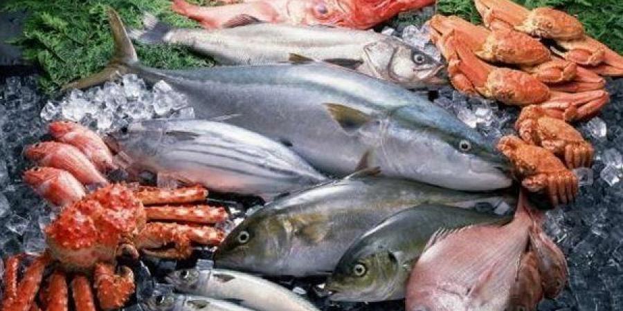 البوري
      يرتفع
      لـ135
      جنيهًا،
      تعرف
      على
      أسعار
      الأسماك
      في
      سوق
      العبور