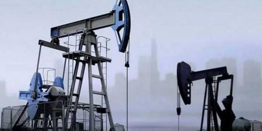 النفط
      عند
      أعلى
      مستوى
      منذ
      نوفمبر..
      و"برنت"
      فوق
      80
      دولار