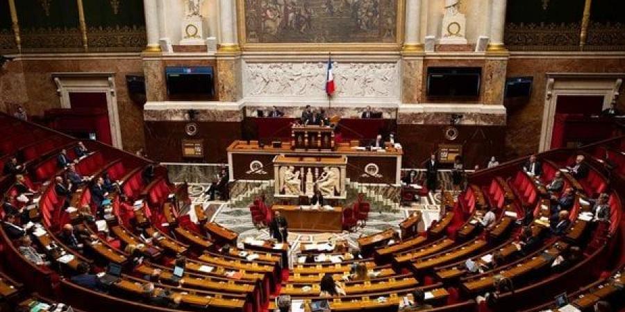 البرلمان
      الفرنسي
      يصادق
      على
      تشريع
      يبيح
      الإجهاض
