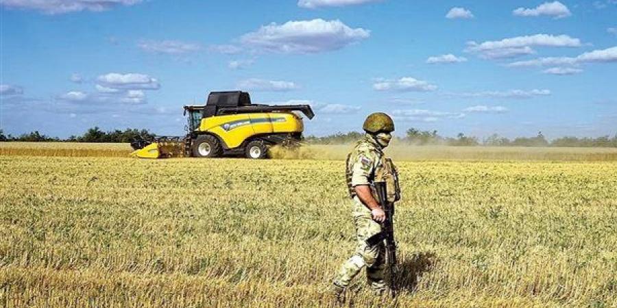 وزارة
      الزراعة
      الأوكرانية:
      محصول
      الحبوب
      قد
      ينخفض
      5%
      في
      2024