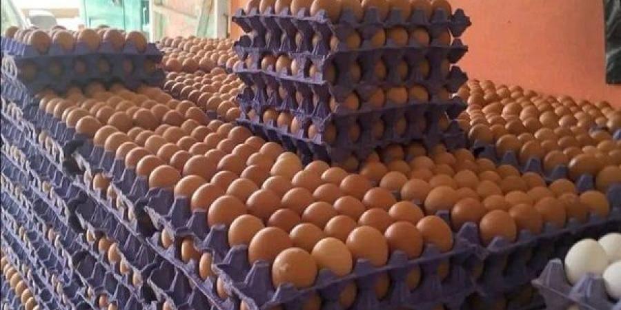 انخفاض
      أسعار
      الدواجن
      وارتفاع
      البيض
      في
      الأسواق
      اليوم
      الإثنين