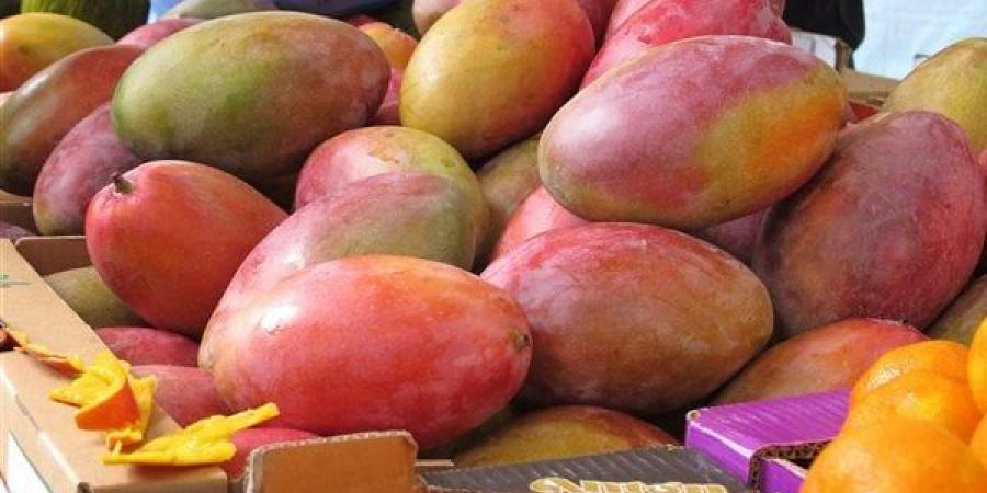 أسعار
      الفاكهة
      اليوم،
      المانجو
      يبدأ
      من
      60
      جنيهًا
      بسوق
      العبور