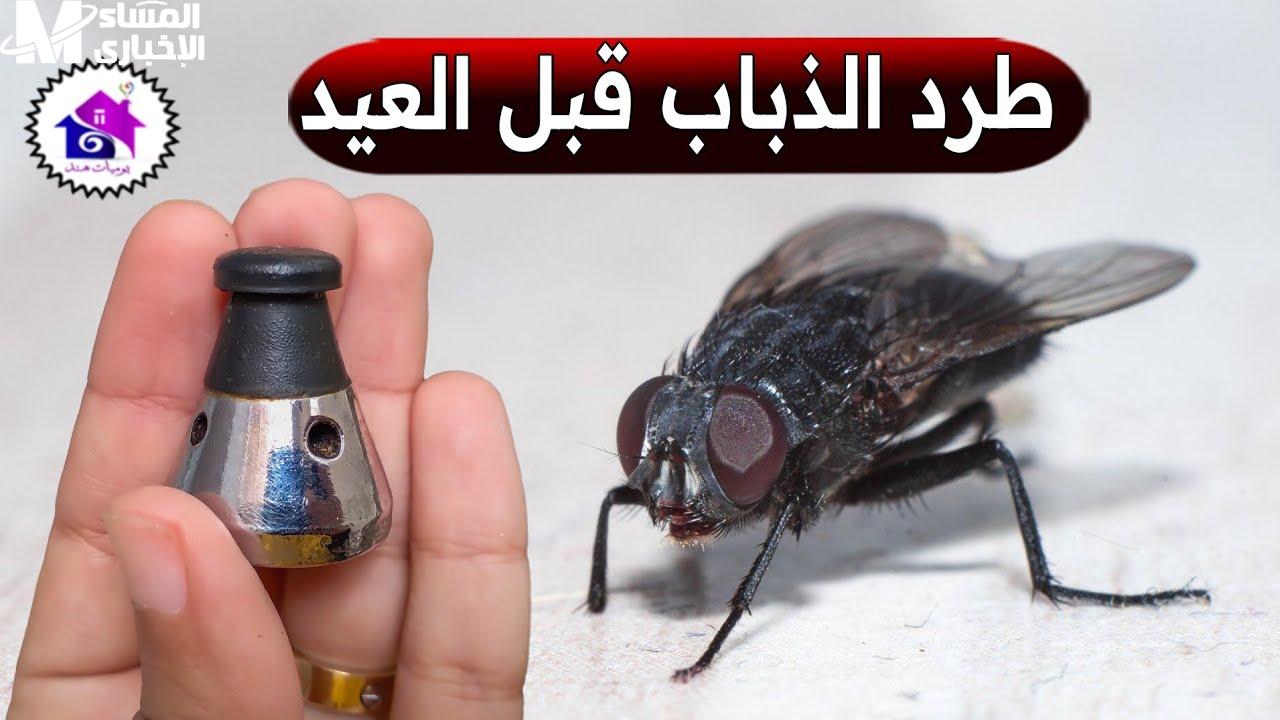 مش هتلاقي ناموس في البيت تاني.. طريقة مجربة للتخلص من الناموس نهائيًا بشكل مضمون