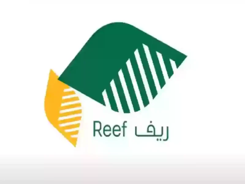 ” أسباب عن توقف الدعم ” موعد صرف دعم ريف لشهر نوفمبر 2024 reef.gov.sa