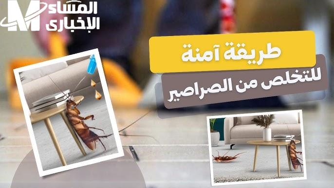 مش هتلاحقيها خالص ! التخلص من الصراصير في المنزل نهائياً بمكونات طبيعية