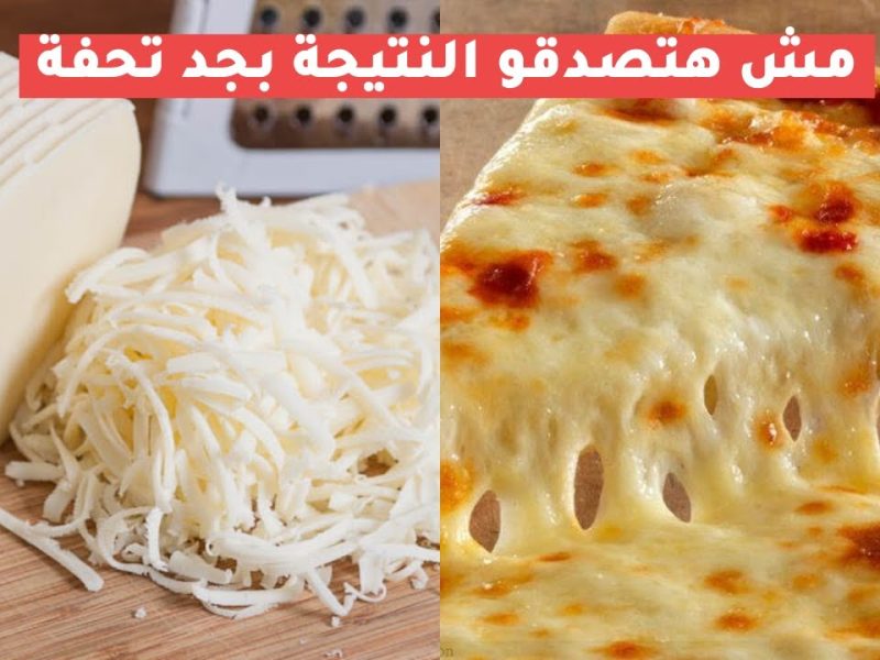 في البيت تعرف علي طريقة عمل الجبنة الموتزاريلا