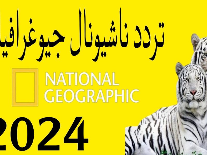 عيش أجواء الطبيعة تردد قناة ناشونال جيوغرافيك أبو ظبي الجديد 2024