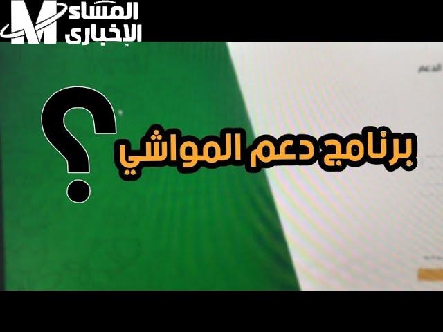 بالشروط الكاملة تعرف علي موعد صرف دعم المواشي شهر أكتوبر 1446 