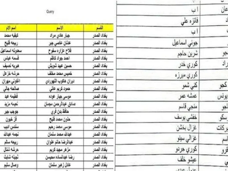 الكشوفات صدرت أسماء الرعاية الاجتماعية الوجبة الأخيرة في العراق تعرف عليها