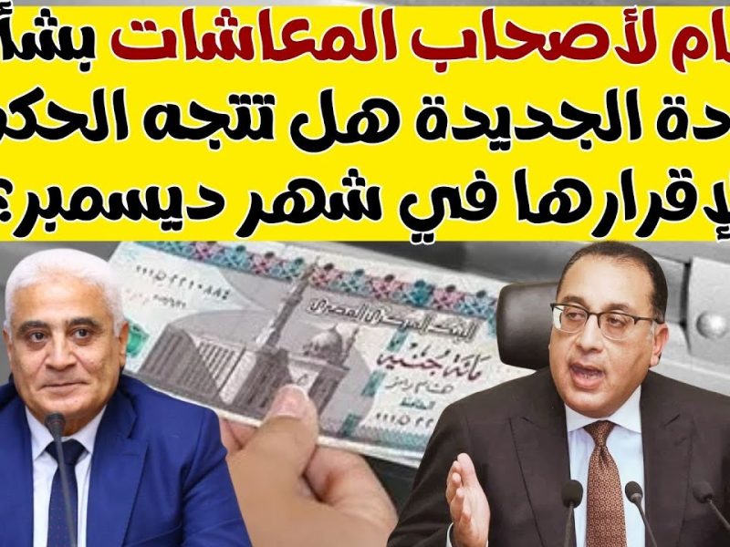 الحكومة المصرية تكشف حقيقة زيادة المرتبات والمعاشات لشهر ديسمبر 2024