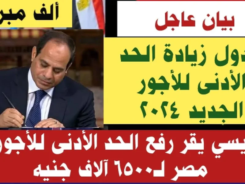 لجميع المواطنين داخل مصر الحد الأدنى للاجور 2025 في مصر