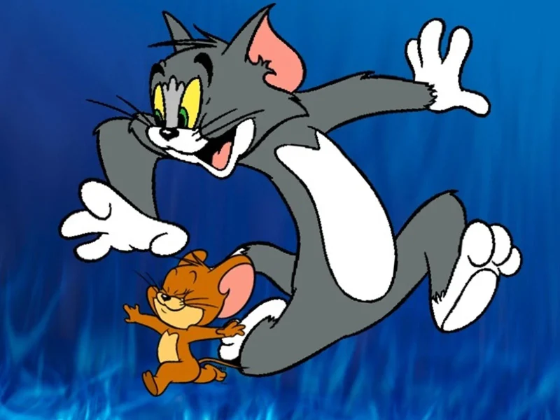 بإشارة وجودة عالية تردد قناة توم وجيري 2024 Tom And Jerry