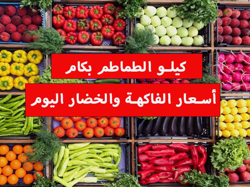 عند التجار وفي الأسواق سعر الطماطم اليوم الجمعة 29/11/2024