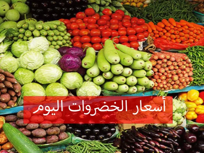 اسعار الخضار اليوم الإثنين 4/11/2024 في الأسواق المصرية