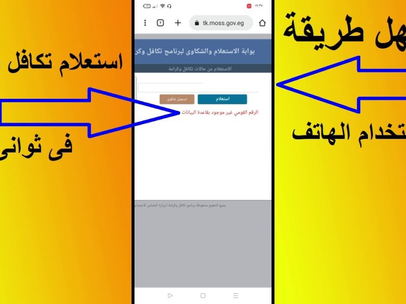 التضامن يعلنها فوراً الاستعلام عن تظلمات تكافل وكرامة 2024