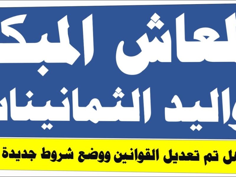 قانون المعاش الجديد .. تعرف علي  المعاش المبكر لمواليد الثمانينات