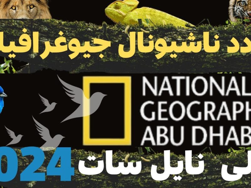 عيش مغامراتك .. تردد قناة ناشيونال جيوغرافيك 2024 National Geographic