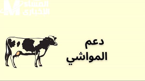 في هذا الموعد .. بشري سعيدة لجميع الفلاحين متي موعد صرف دعم المواشي