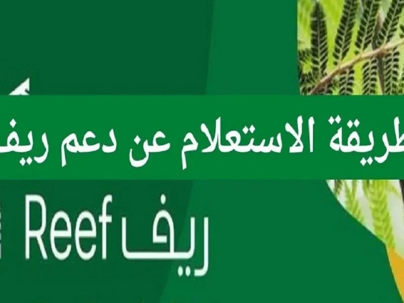 أهم الخطوات التي يجب ضبطها من أجل التسجيل في دعم ريف لربات البيوت 1446 