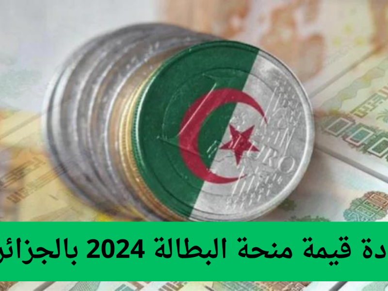 المالية في الجزائر تنشرها .. زيادات قريبة في منح البطالة بأمر من الرئيس تبون 2024