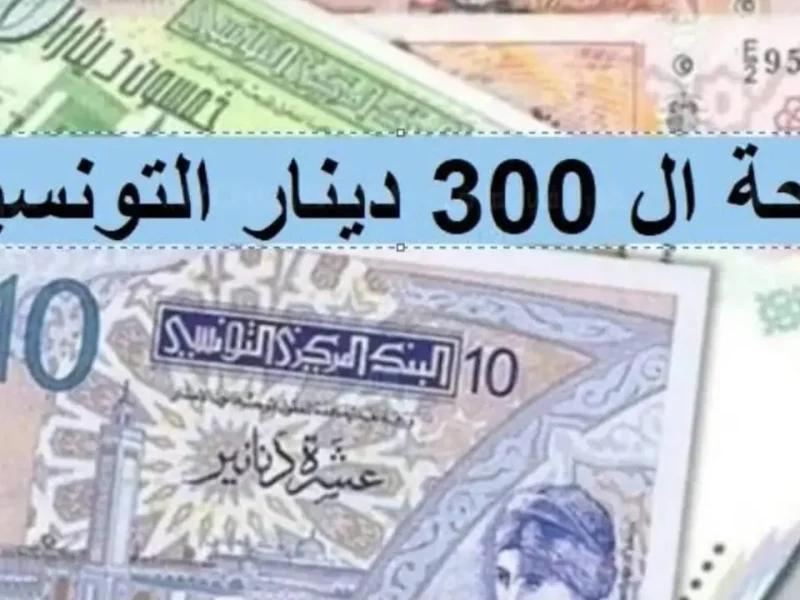 وزارة الشؤون الاجتماعية التونسية تعلنها رابط التقديم في منحة 300 دينار تونس