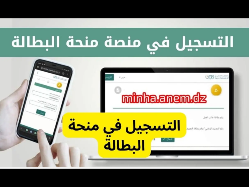 بهذه الشروط والمستندات خطوات تجديد منحة البطالة في الجزائر تعرف عليها الآن