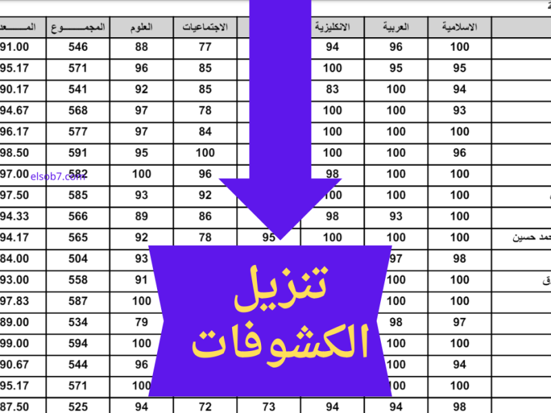 صفحة الطالب تعرض الرابط الرسمي الخاص بـ  نتائج السادس الاعدادي الدور الثالث ٢٠٢٤