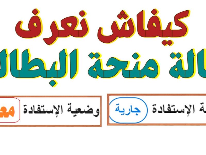 الرقم التعريفي والخطوات الخاصة بـ الحصول علي نتيجة منحة البطالة 2024 بالجزائر