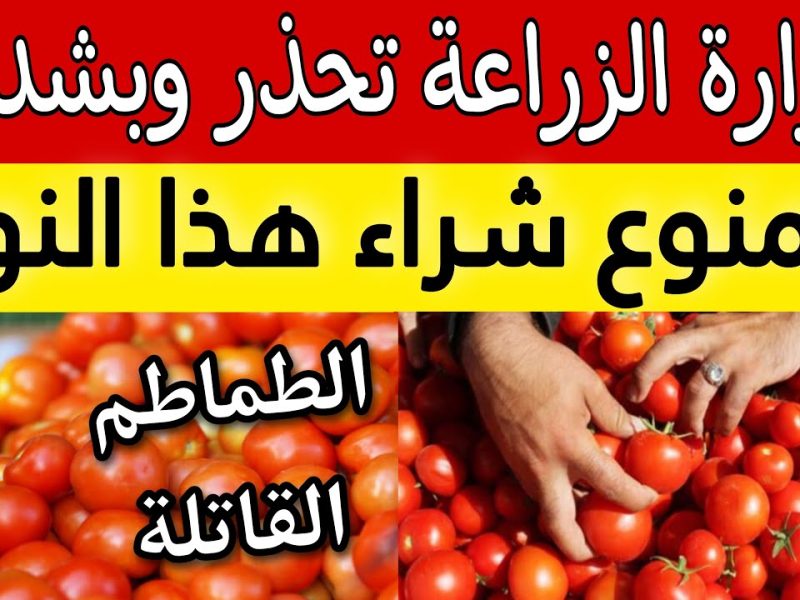 وزارة الزراعة تحذر من شراء هذا النوع من الطماطم المنتشر في السوق